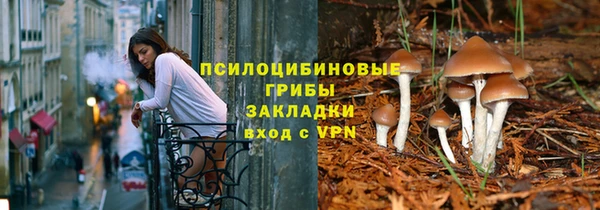 прущая мука Алексин