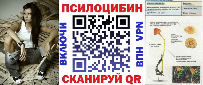 Галлюциногенные грибы мухоморы  купить наркотики сайты  Чистополь 